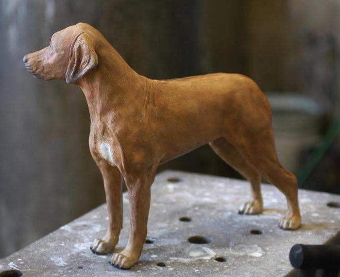 Come modellare una plastilina da un cane in modo rapido e semplice?